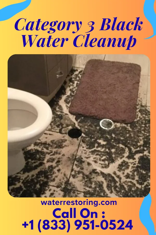 Category 3 Black Water Cleanup in Bechtelsville, PA