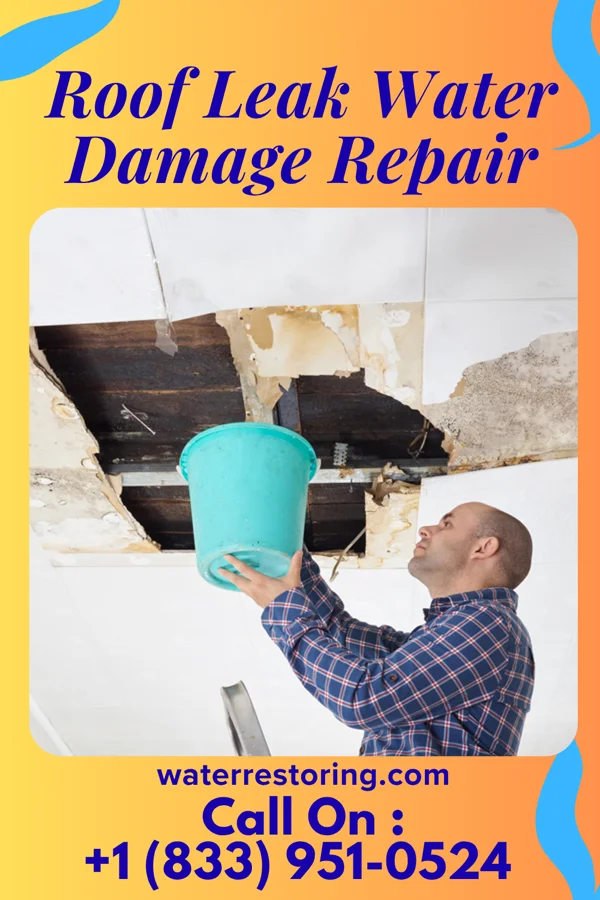 Roof Leak Water Damage Repair in Bechtelsville, PA