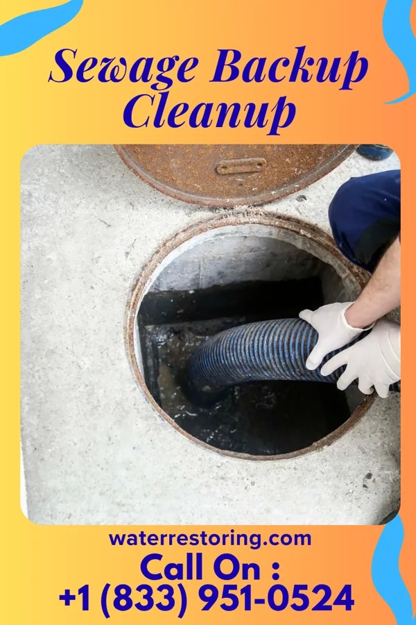Sewage Backup Cleanup in Bechtelsville, PA