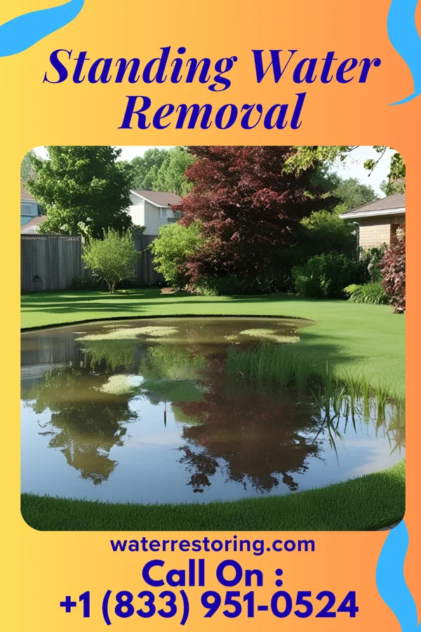 Standing Water Removal in Bechtelsville, PA